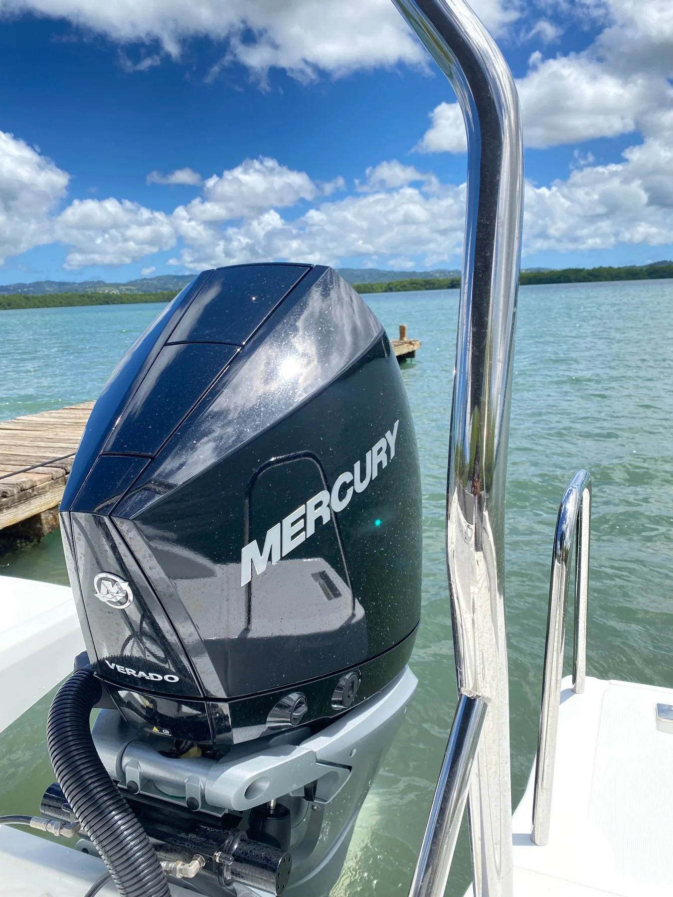 Moteur Mercury Verado